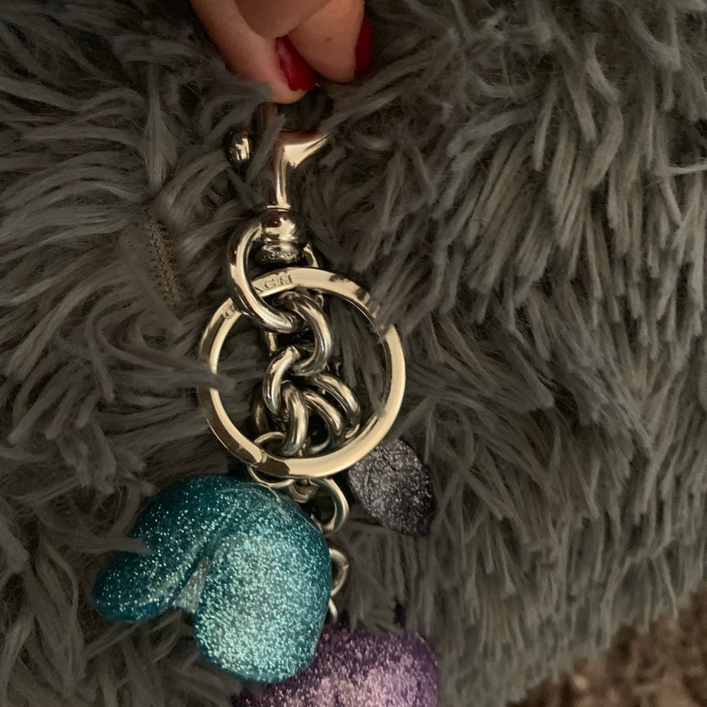 Accessory coach - Picture 2 of 3